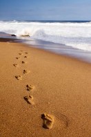 Home. Library Image: Steps in Sand (Sml)